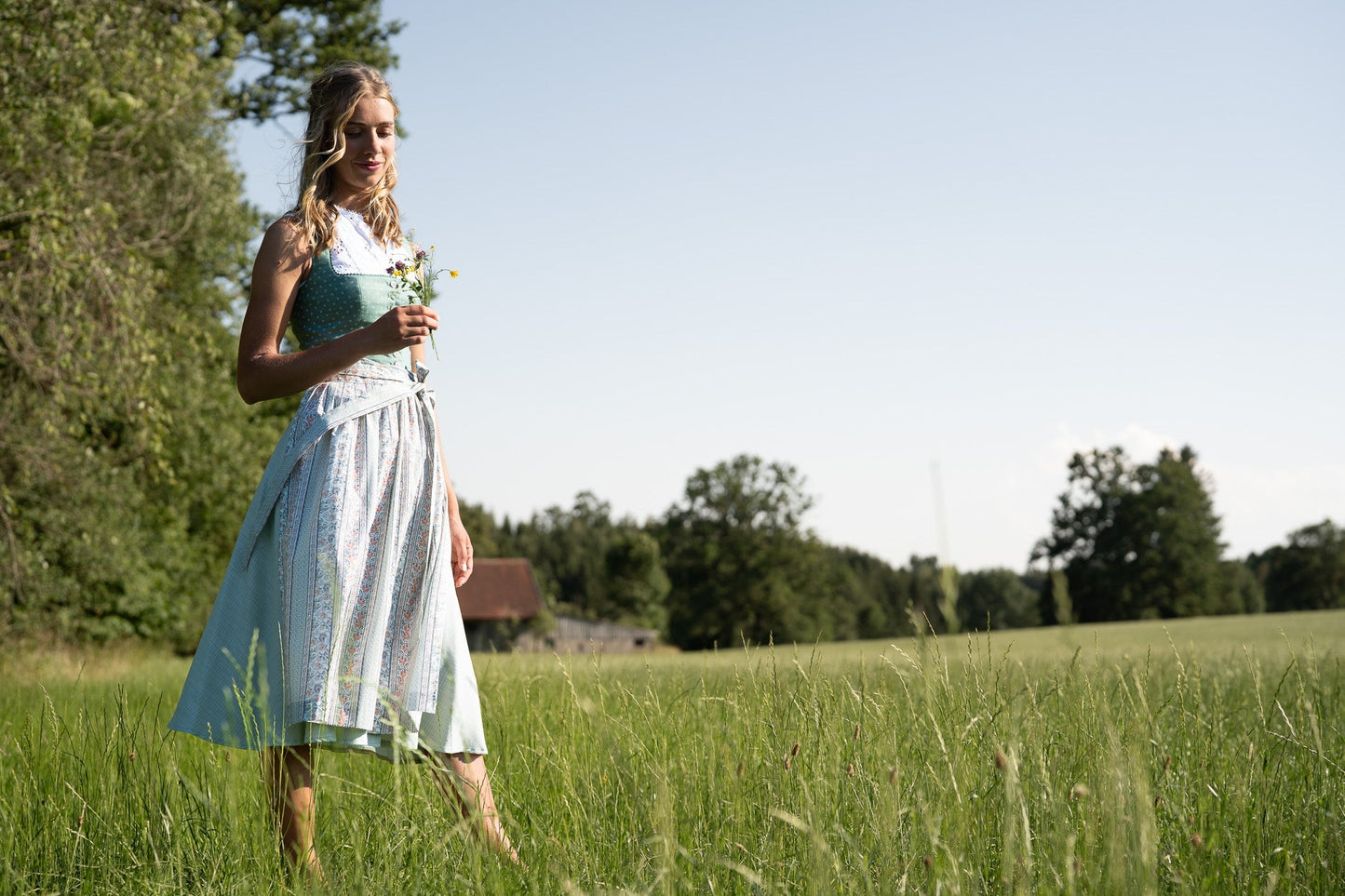 Blue print dirndl with herringbone skirt