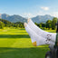 Organic Performance Golf Socks